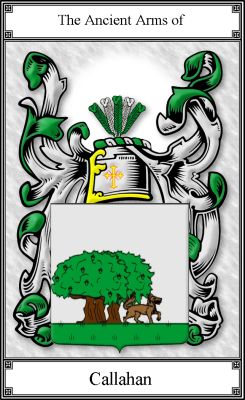 The Callahan Family Crest by houseofnames.com