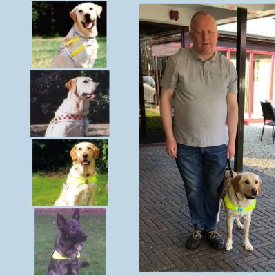 A collage including all five of my guide dogs