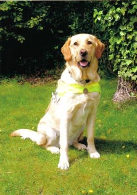 A photo of Eddy wearing his harness