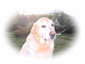 A photo of Isaac taken in 2001