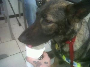 A photo of Max drinking out of a disposable cup at Starbucks in Leamington