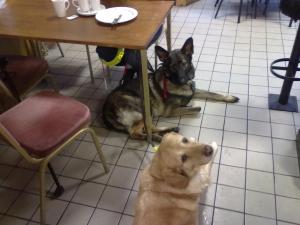 A photo of Max and Eddy in Marenghi’s Cafe