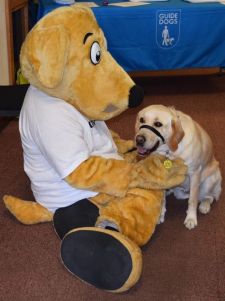 A photo of Sophie snuggling up to me wearing a dog costume at the Guide Dogs Awareness Day
