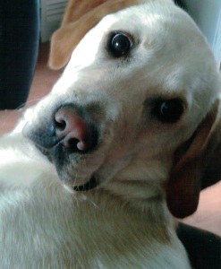 A photo of Troy taken shortly before moving on to begin his training to become a life-changer
