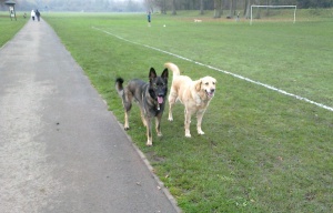 A photo of Max and Eddy on their first visit together to Tredegar Park in Newport